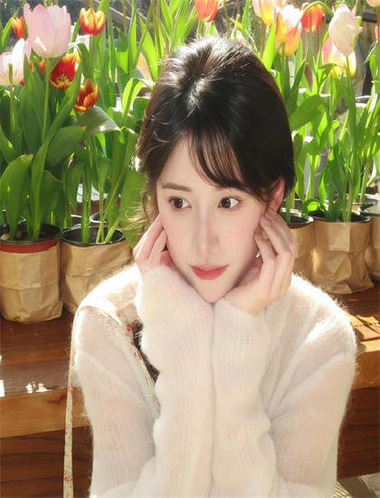 《桃色租赁》与当代文化：背后的故事与启示 认识文化多样性的价值